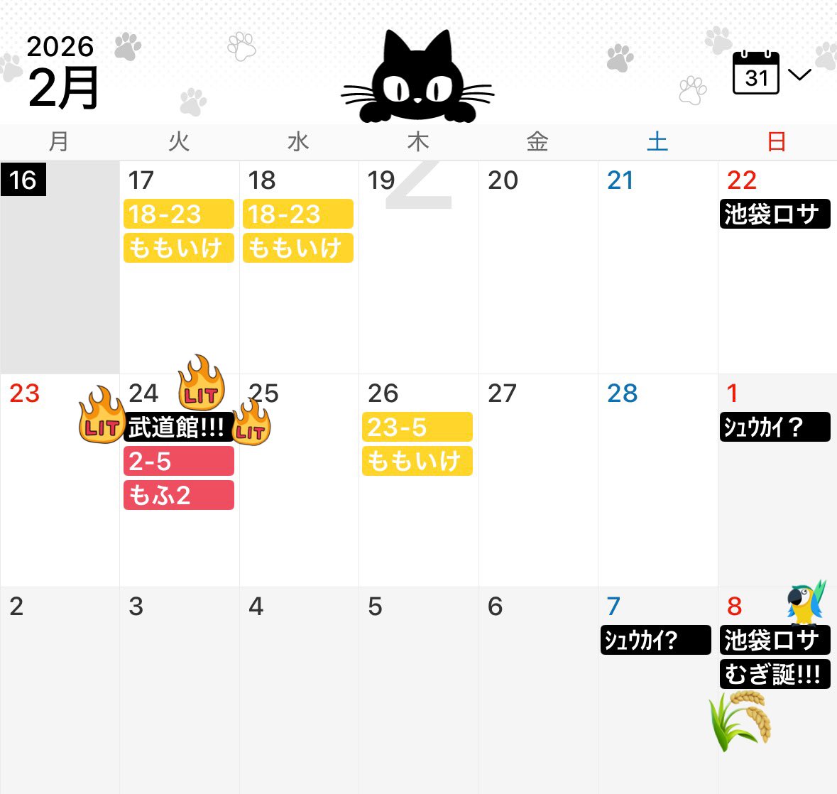 夏芽 むぎ🌾MofruRock🐾2026/2/24(火)天下一武道館@日本武道館