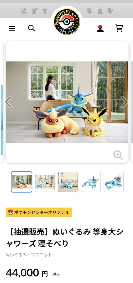 再販するのか。欲しいけど置く場所無いよ🥹 【抽選販売】ぬいぐるみ