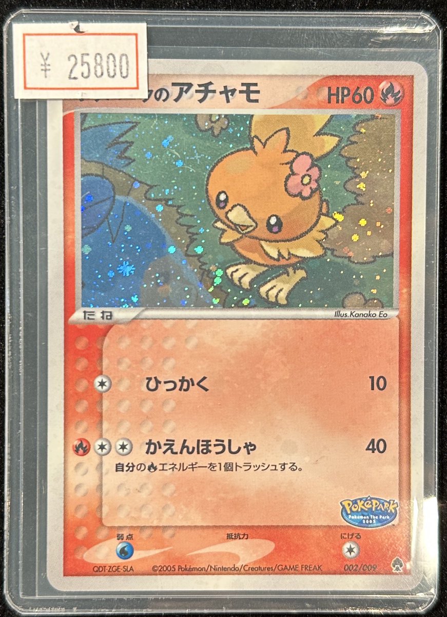 VALUABLE CARD TOKYO 2F入荷情報📢】 ／ 🆕ポケパークのアチャモ