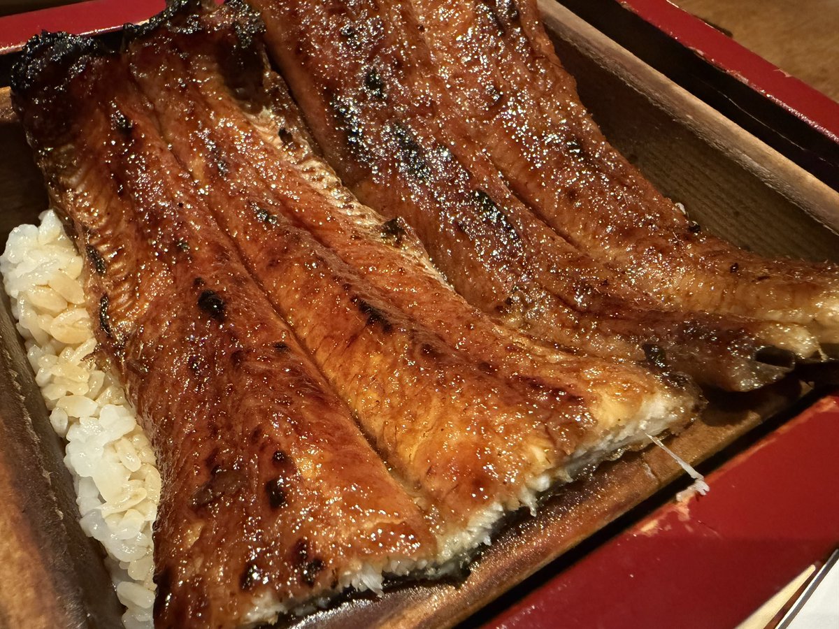 完全無敵最強鰻、摂取完了。 HP：全回復 MP：∞ バフ：和の加護 渡航