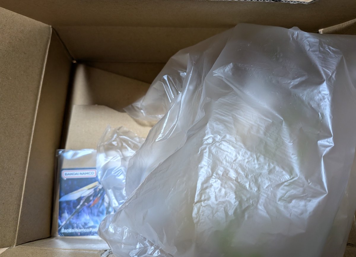 RAGEのカード届いたと思えば超簡素梱包で吹いた メルカリでももっと