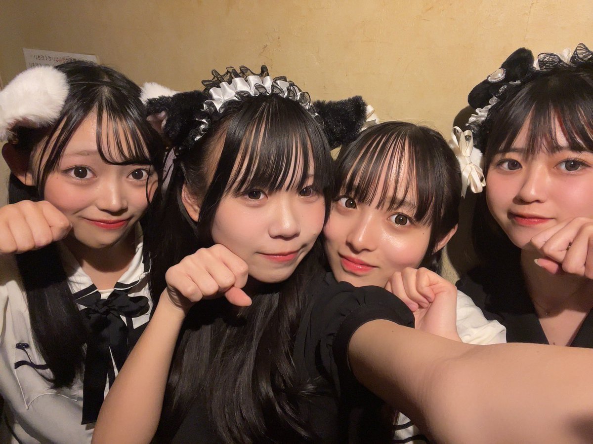 2026年2月22日（日） PIXELATION!! 📍FANJ twice にゃんにゃんにゃん