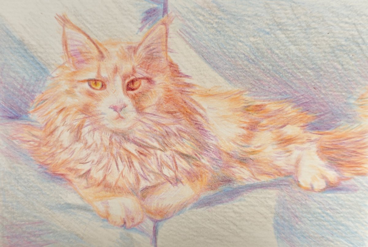 真劍◉⁠‿⁠◉ (@zx14996630) / Posts / X