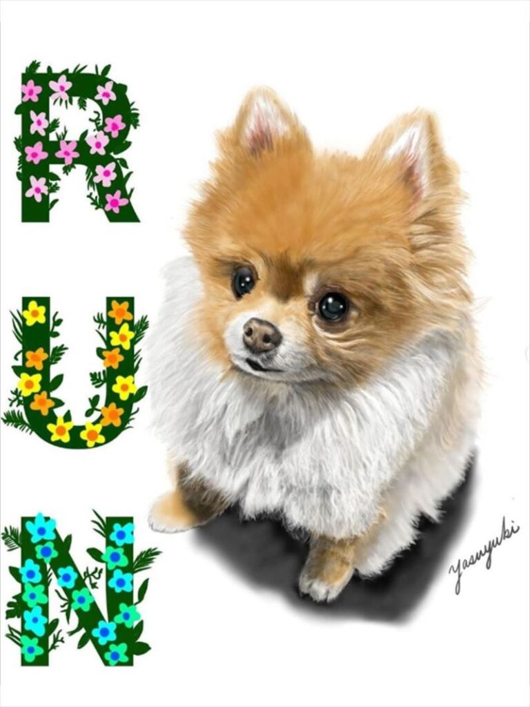 チワワ・ポメラニアンMIX犬「ランくん」似顔絵 - ペット火葬ピースフル