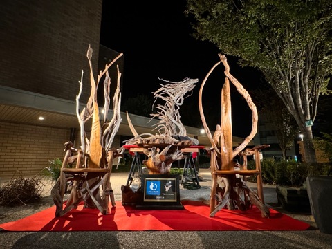 流木アート，流木オブジェ，流木ライト,流木ディスプレイ,流木ランプ