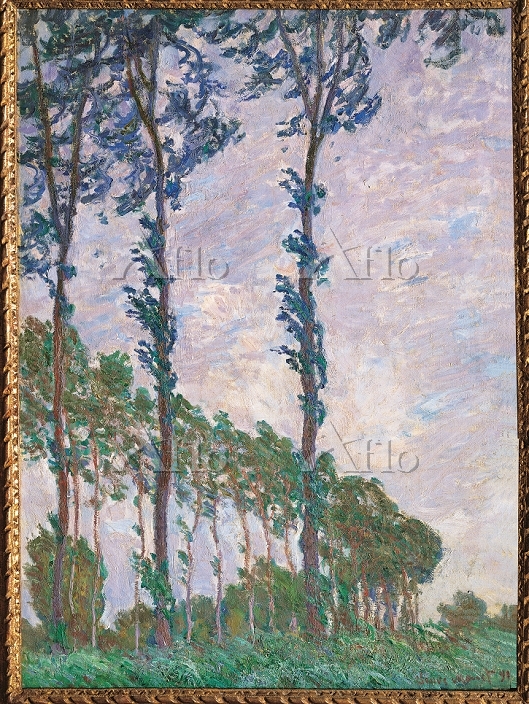 クロード・モネ「エプトの川のポプラ並木、風の日」 [22008676]の