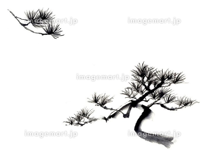 松の木の水墨画のイラスト素材 [271839112]｜毎月1点無料（フリー）の