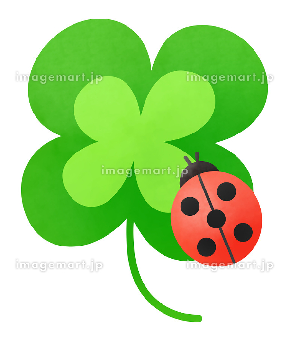 てんとう虫と大きな四つ葉のクローバーのイラスト素材 [242940448