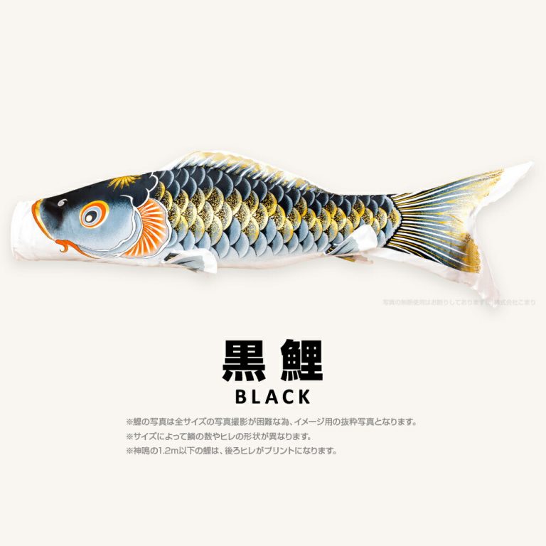こいのぼり 単品 鯉のぼり 神鳴鯉 KAMUI 1.5m 単品鯉 – コンパクトで