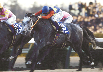 未来に語り継ぎたい名馬 JRAレーシングビュアー