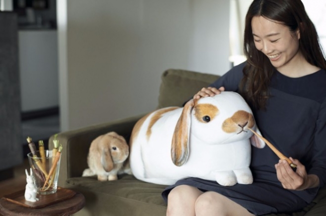 世界最大級のたれ耳うさぎ“フレンチロップイヤー”の実寸大クッションが
