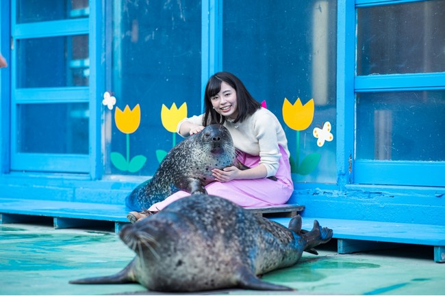 衝撃のふれあい展示最前線】人気の有料体験「ゴマちゃんをひざ枕体験