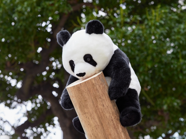 上野案内所 開業1周年記念パンダグッズ発売！ | 株式会社スパートの