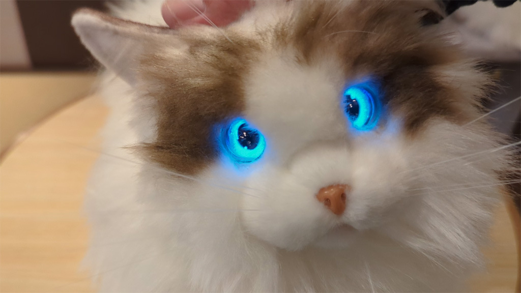 目の表情と動きがリアルなペットロボット「KIMIT ラグドール