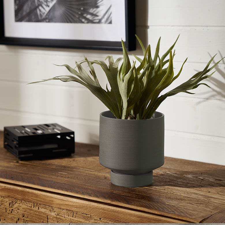 植木鉢 陶器 マット 4号鉢 受皿 底穴あり 小型 ハイタイプ 約 W 13.5cm