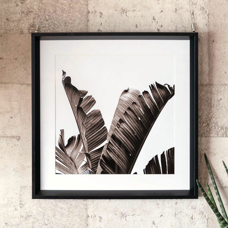 アートポスター モノクロ パイナップル 40×50cm [66807]【 アート