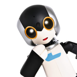 ロビ2【組立済み完成品】ニットTシャツ付き（現在は販売しておりませ