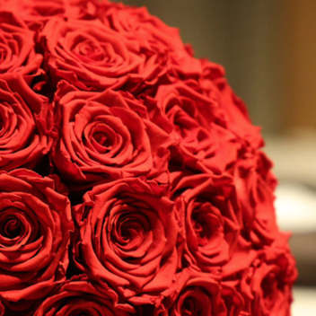 クイックアイテム】ダイヤモンドローズ(M)/ブライトレッド | ローズ