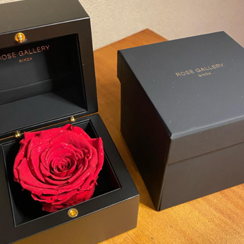 クイックアイテム】ダイヤモンドローズ(M)/ブライトレッド | ローズ