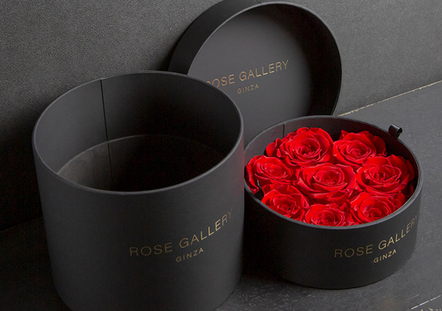 ROSE GALLERY GINZA アンダーザローズ(M-N18) ROSE GALLERY GINZA