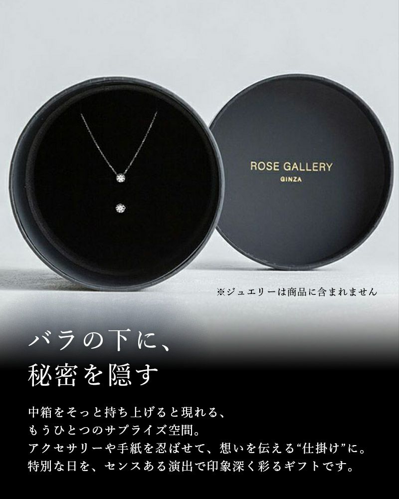 アンダーザローズ(S-N8) | ローズギャラリー銀座 オンラインショップ