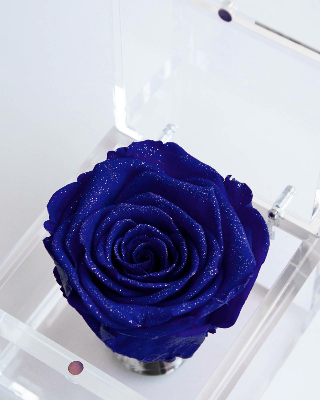 000000000055-12-l.jpg?t=