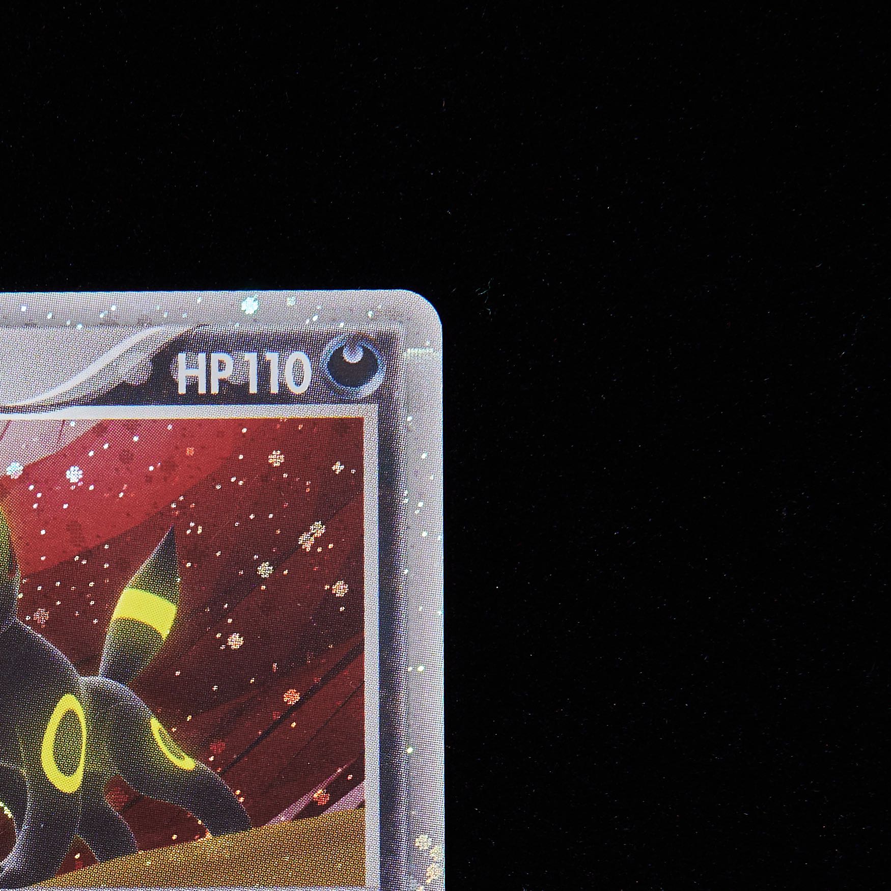 ランクB】ポケモンカード ADV PCG ブラッキーex 1枚の通販 JOKER/TCG