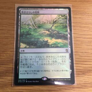 mtg 国産プレブ産 吹きさらしの荒野 旧枠 FOIL 日本語版 mh3 mtg 国産