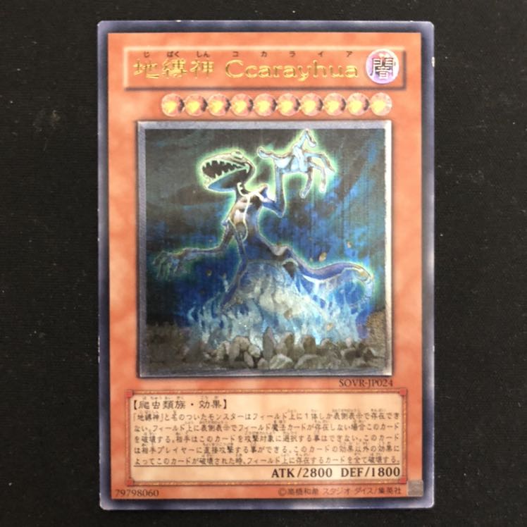 地縛神Ccarayhua コカライア レリーフ 1枚 1枚の通販 ポケカ25thプロモ