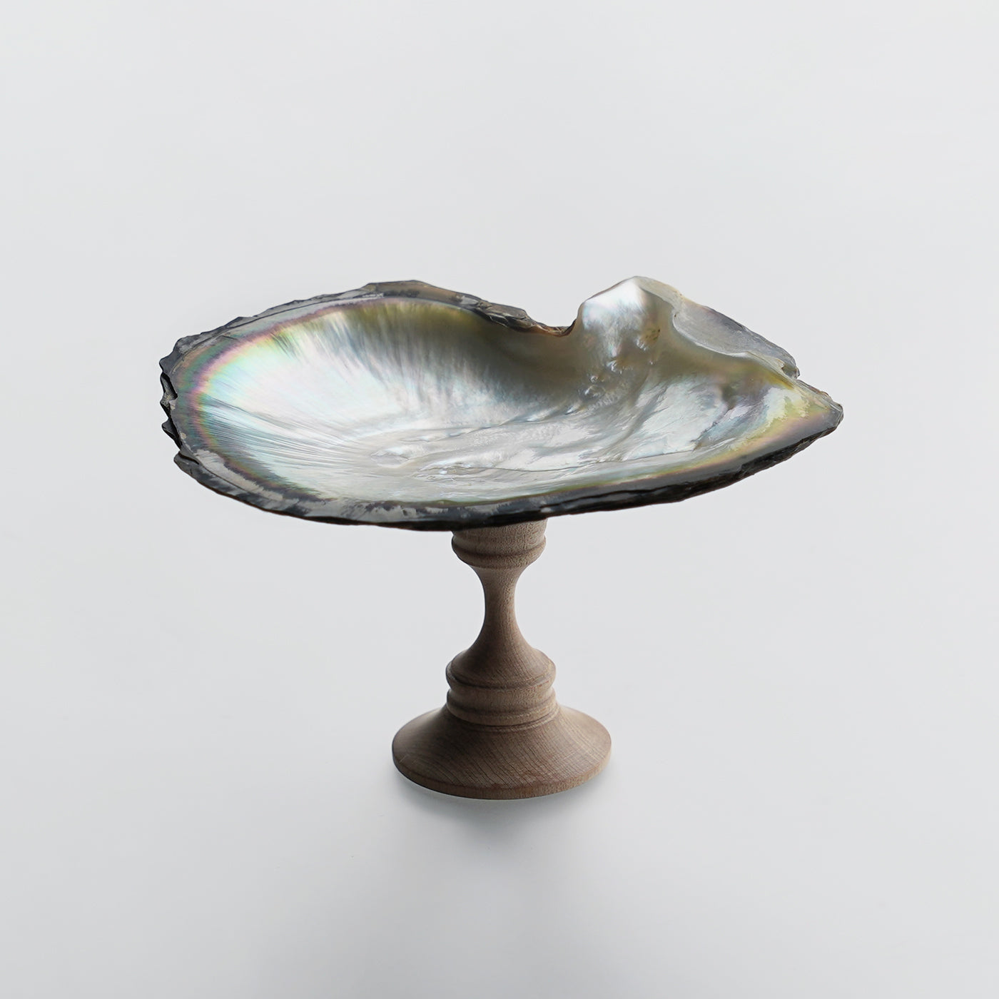 星加清人 × sCenes】黒蝶貝スタンドトレイ - NC ※8月27日