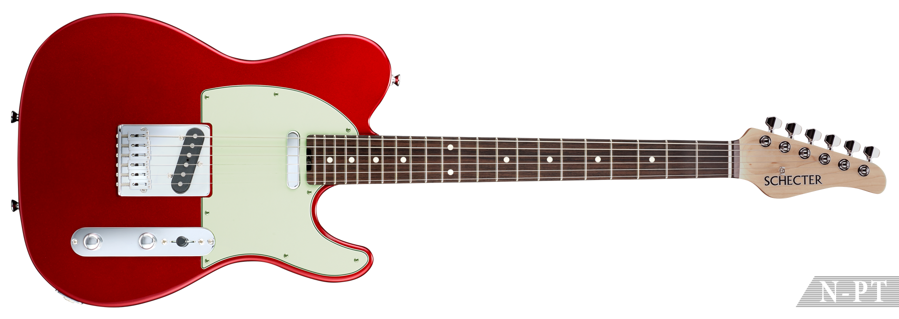 SCHECTER N-PT | SCHECTER