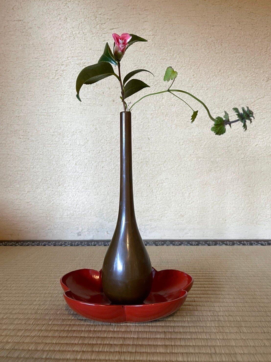 eーLabo Fes」伊羅保茶碗 一堂に 拾穂園四季の茶の湯＆茶器研究会 好評