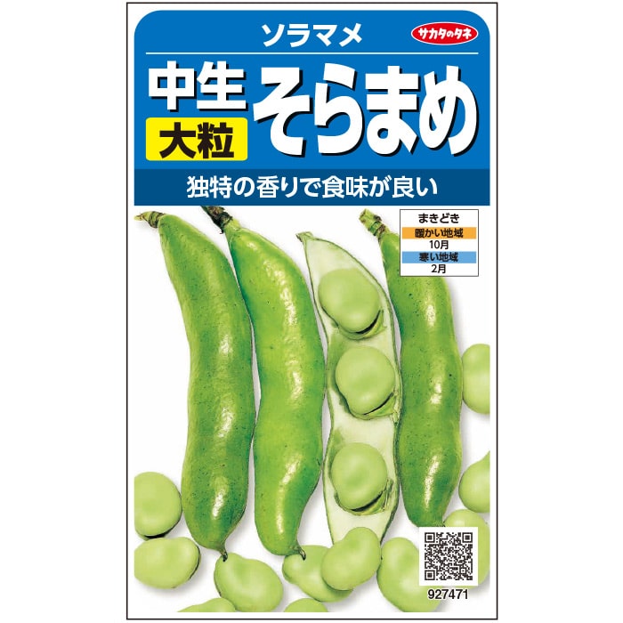 ソラマメ 中生そらまめ｜種（タネ）,球根,苗,資材,ガーデニンググッズ