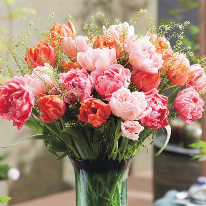 チューリップ ピーチアップル｜種（タネ）,球根,苗,資材,ガーデニング