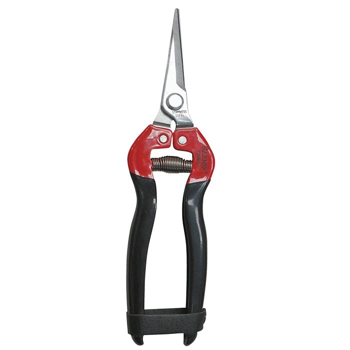 YARDFORCE 高枝切り電動チェーンソーVmax＋園芸鋏セット｜種（タネ