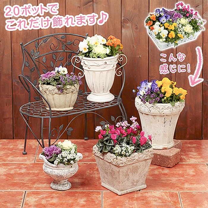 フラワー・ガーデニング ZEROjr フラワー・ガーデニング ZEROjr