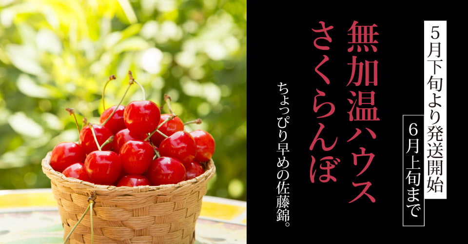 無加温ハウスさくらんぼ [5月下旬～6月上旬]｜山形のさくらんぼ通販
