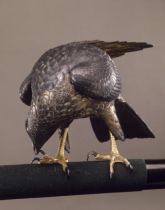 独立行政法人国立美術館・所蔵作品検索