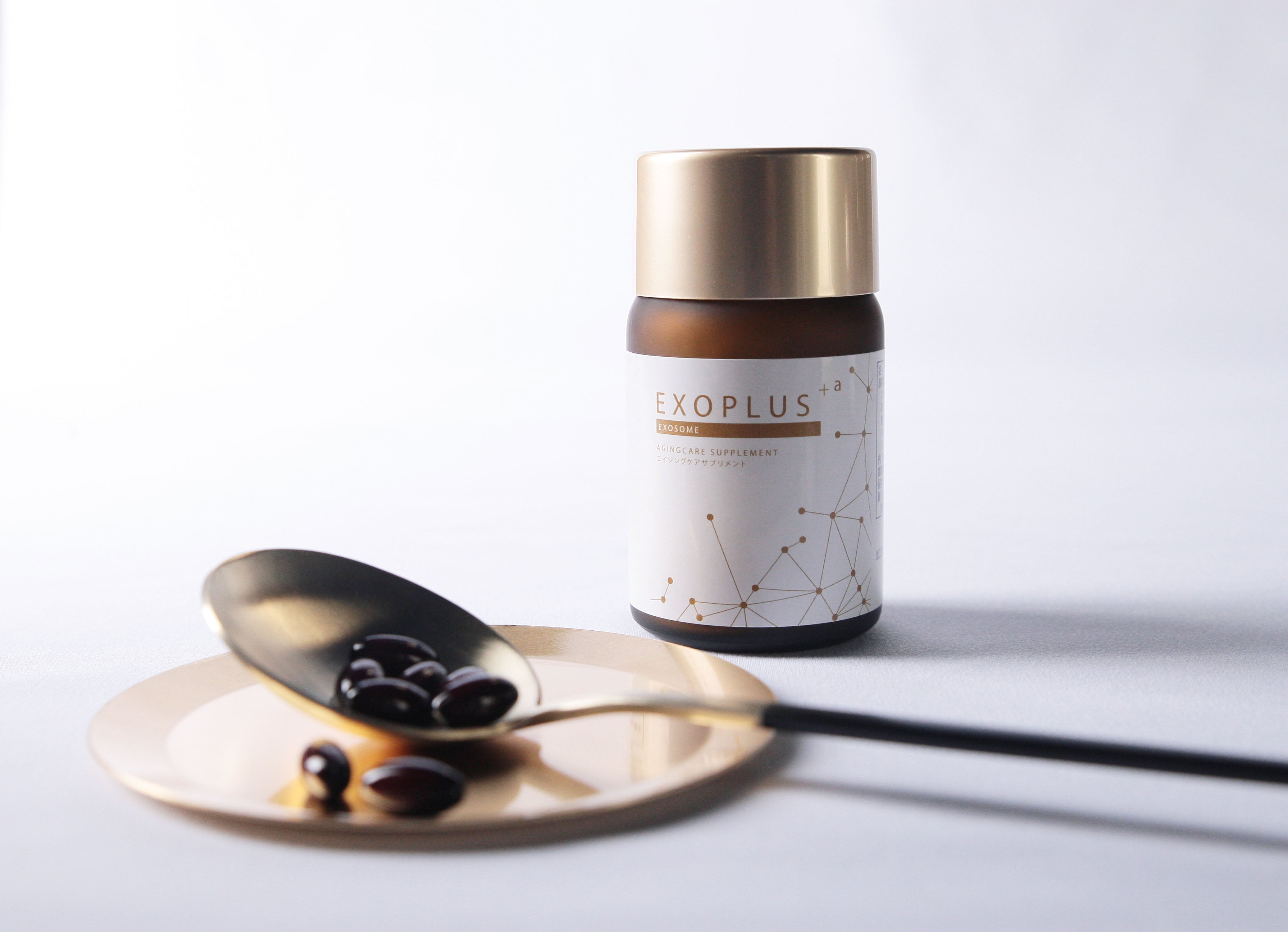 IMG_9711.jpg?v=1707379944&