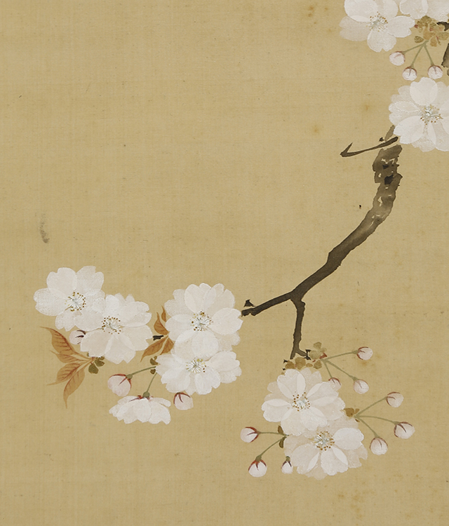 九重桜花図｜商品一覧｜新古美術わたなべ