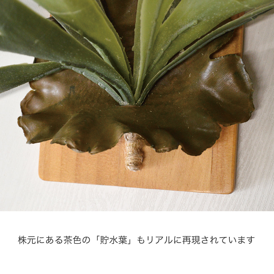 壁掛け コウモリラン インテリアグリーン 光触媒加工 造花