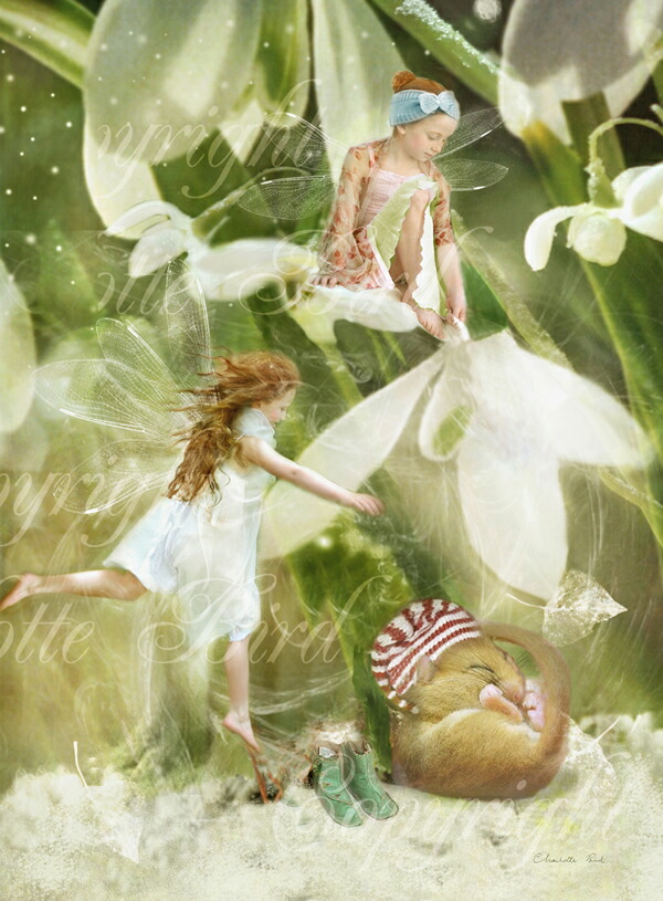 楽天市場】天使 妖精 絵画 スペル プラクティス （魔法が使えるように