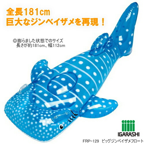楽天市場】ビッグジンベエザメフロート 181cm 【 水遊び用品 ビーチ