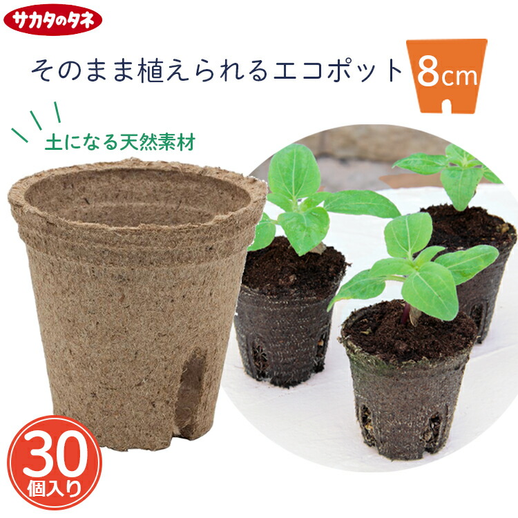 楽天市場】サカタ 育苗ポット 天然素材 ジフィーポット 5.5cm 丸 40個