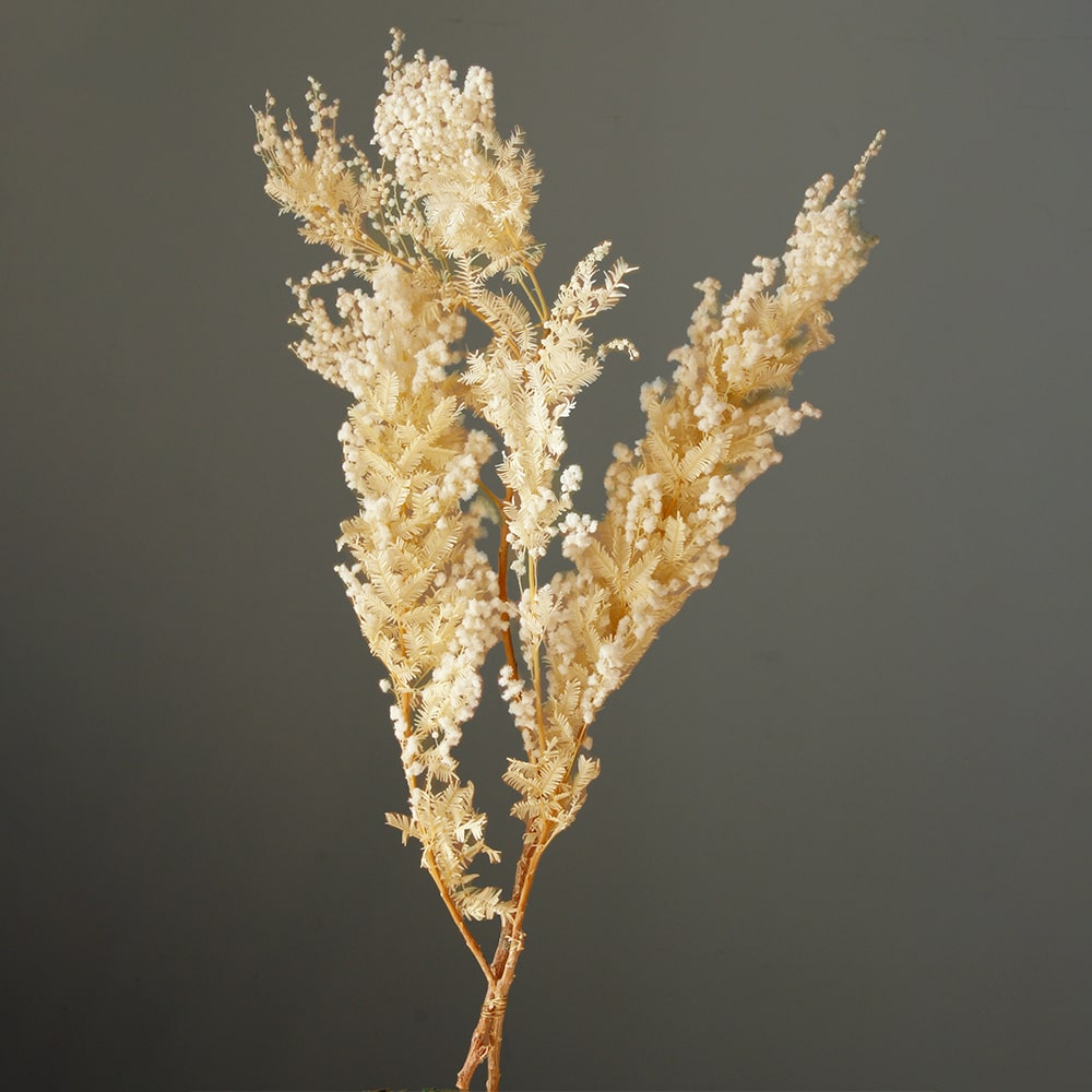 楽天市場】ドライフラワー 花材 即日出荷 カカオホール・大 ナチュラル