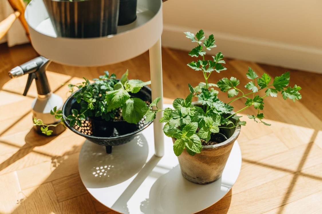 ドローアライン ムーブロッド / ホワイト | リグナテラス東京 | ドロー