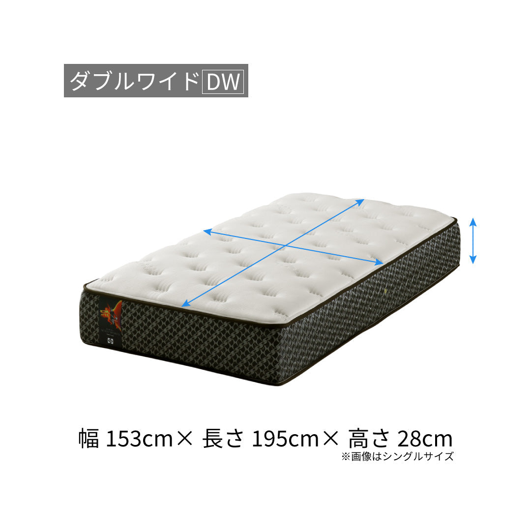 power-size-dw.jpg?v=1751339671