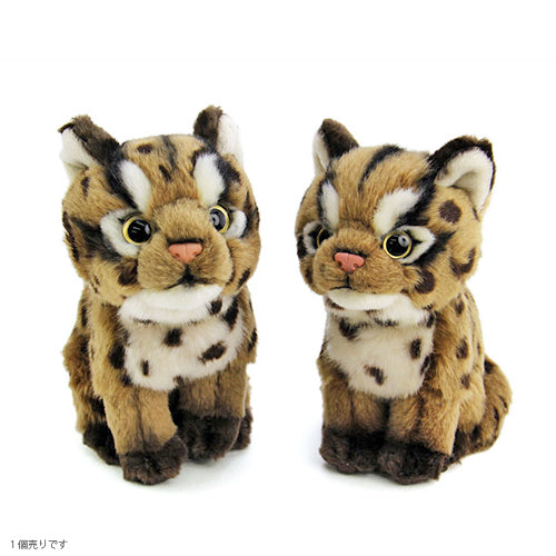 ネコ科ぬいぐるみ・イリオモテヤマネコ（子） – WWFジャパン PANDA SHOP