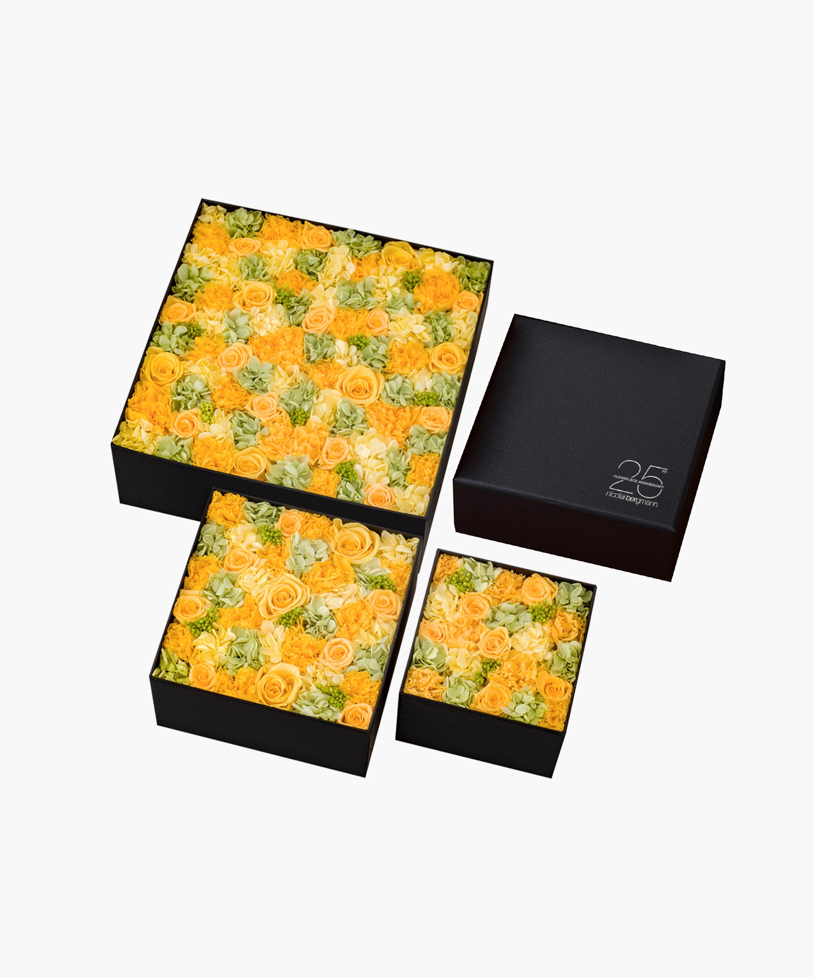 Vivid Love（ビビッド ラブ）