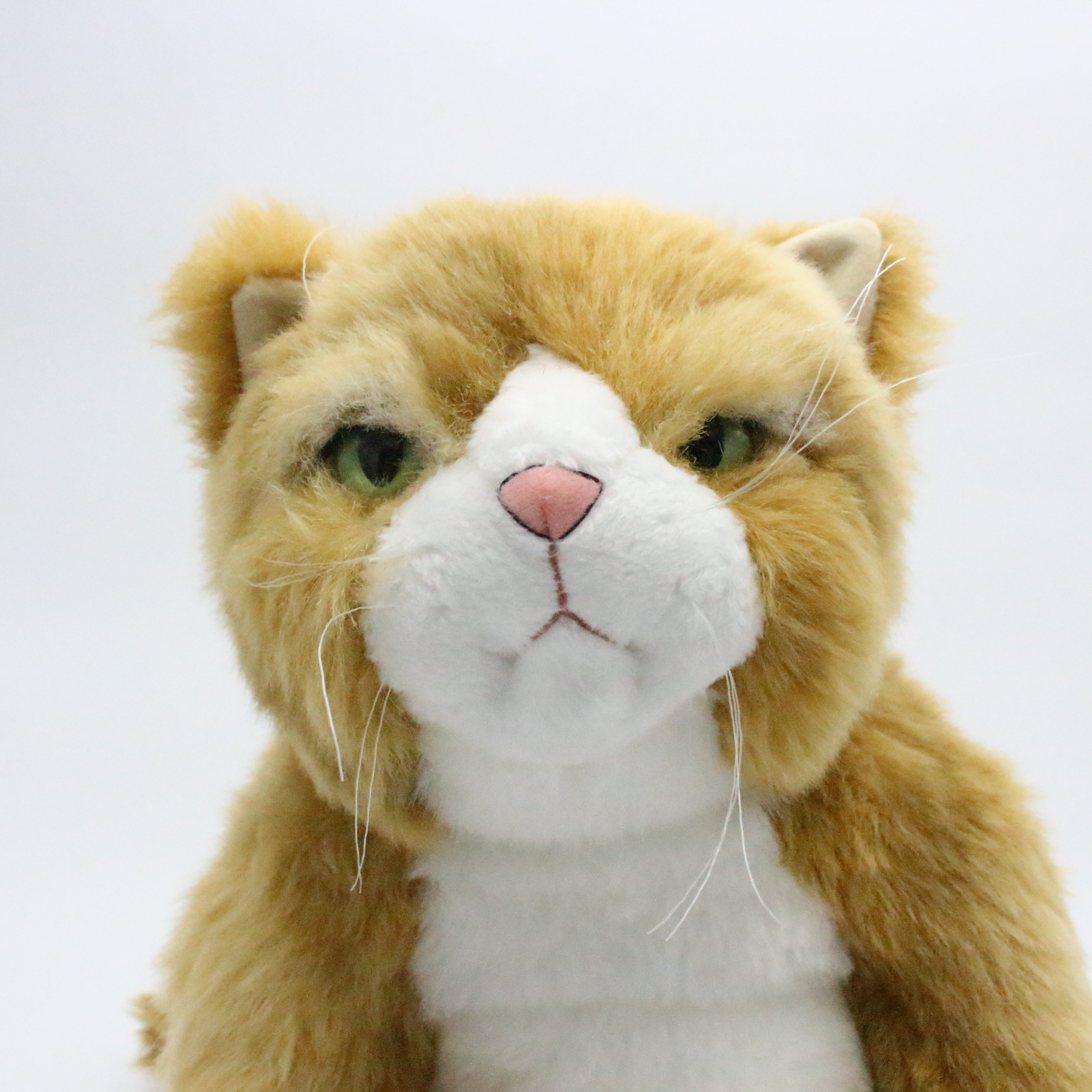 お振込み後の発送商品】Cuddly(カドリー) わさ美 – 鎌倉ねこサロン